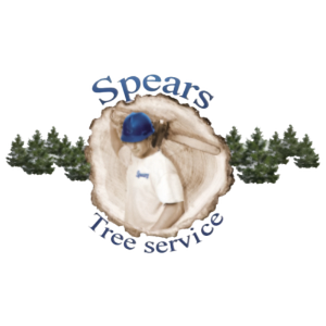 Spears Tree Experts Inc. - Logo