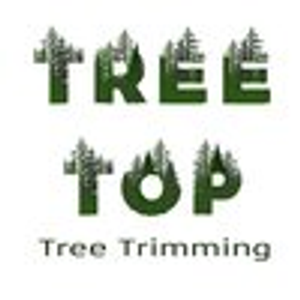 Tree Top Tree Trimming - Logo