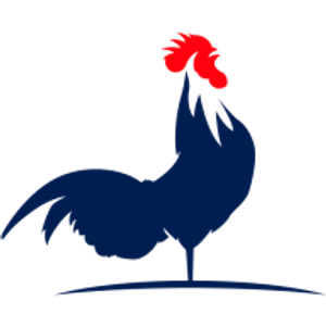 Blue Chicken Investors - We Buy Houses - Logo