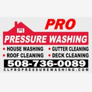 Pro Pressure Washing