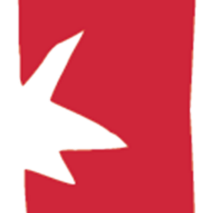 Stangeland & Associates Inc - Logo