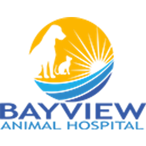 Bayview Animal Hospital