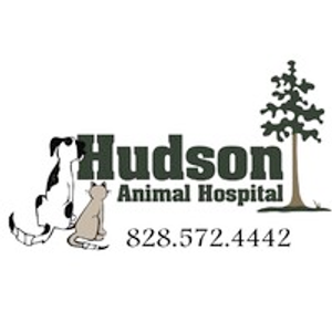 Hudson Animal Hospital - Logo