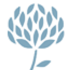 Kelly Mericle Design