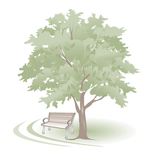 Dental Park SC - Logo