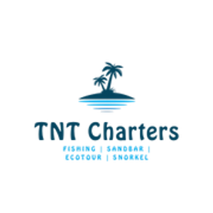 TNT Charters - Logo