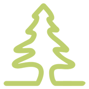 Rutter Urban Forestry