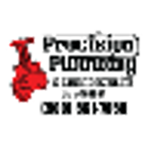 Precision Plumbing & Leak Detection