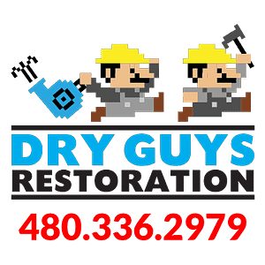 Dry Guys Restoration - Logo