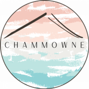 Chammowne Painting - Logo