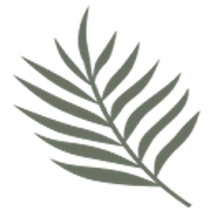 A Dream Wedding Maui Style - Logo