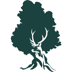 Evergreen CPAs - Logo