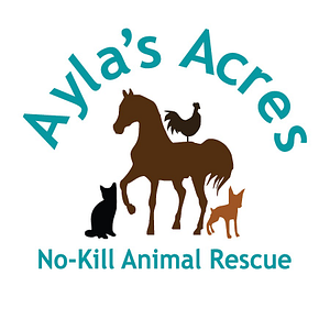 Ayla's Acres No-Kill Animal Rescue Thriftique - Logo