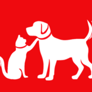 Happy Tails Animal Hospital - Pet boarding service in Marietta