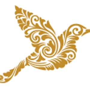 Wing Woman Events