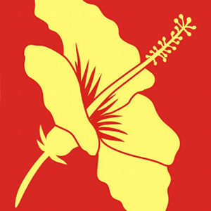 Hawaii Criminal Justice Data Center - Logo