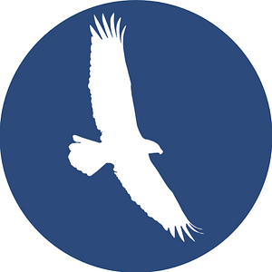 Eagle Center for Leadership - Consultant in Decatur