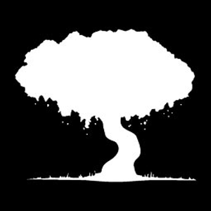 Scarlet Oak Studio - Logo