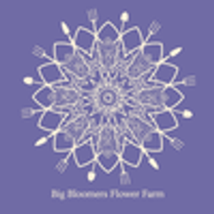 Big Bloomers Flower Farm