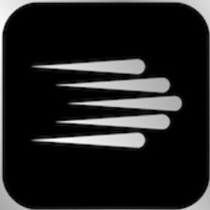 Go To Services, Inc. - Logo