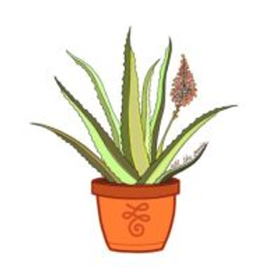 The Wellness Shop + Organic Smoothie Bar - Logo