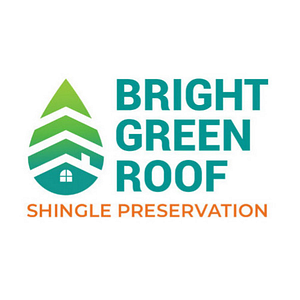 Bright Green Roof Iowa - Logo