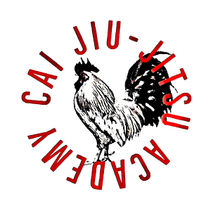 Cai Jiu-Jitsu Academy