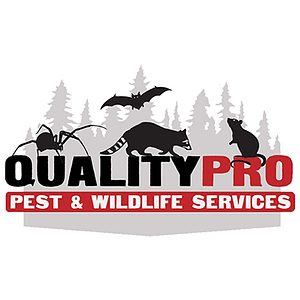 Quality Pro Pest & Wildlife Services