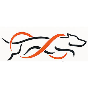 Dynamic Canine Training