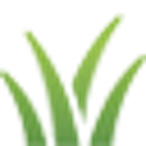 Paramount Lawn + Landscape - Logo