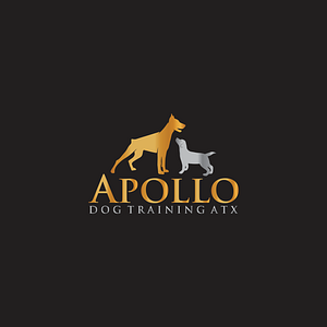 Apollo Dog Training