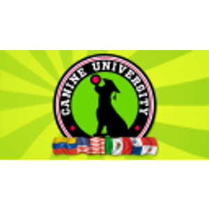 Canine University Denver