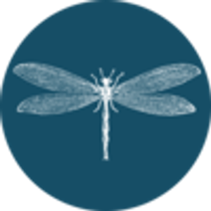 Inner Alchemy - Logo
