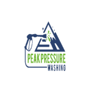 Peak Pressure Wash - Logo
